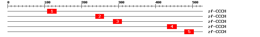 Signature Domain