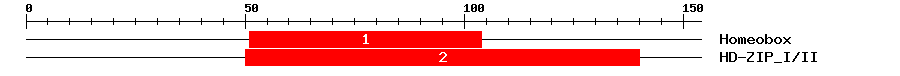 Signature Domain