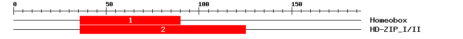 Signature Domain