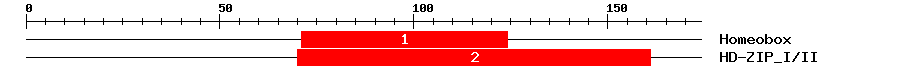Signature Domain