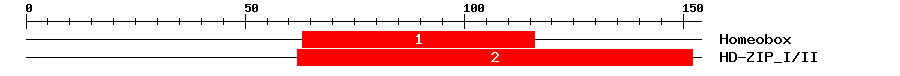 Signature Domain