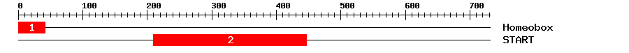 Signature Domain