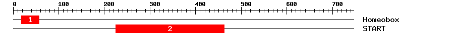 Signature Domain