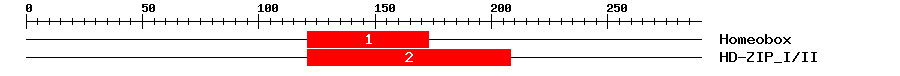 Signature Domain