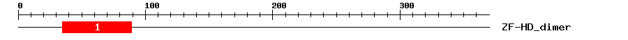 Signature Domain