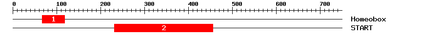 Signature Domain