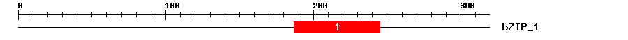 Signature Domain