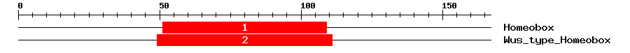 Signature Domain