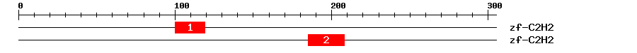 Signature Domain