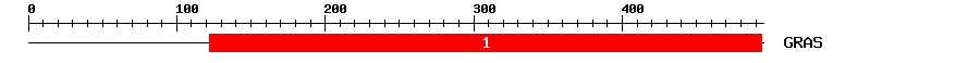 Signature Domain
