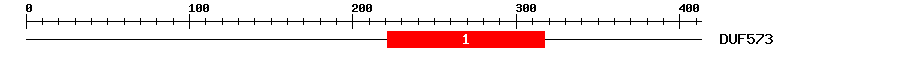 Signature Domain