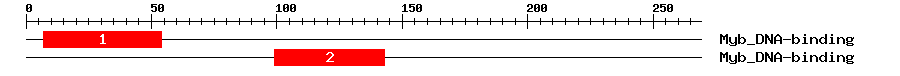Signature Domain