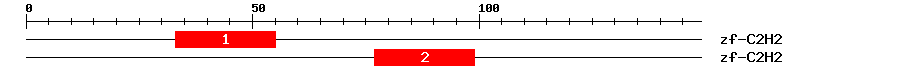 Signature Domain