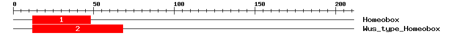 Signature Domain