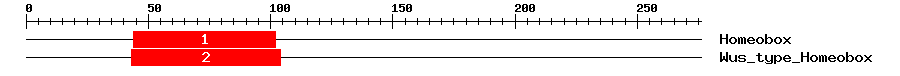 Signature Domain