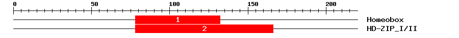 Signature Domain