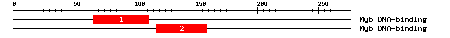 Signature Domain