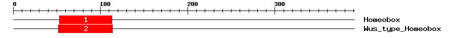 Signature Domain