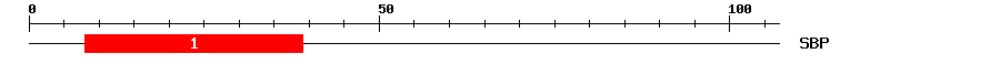 Signature Domain