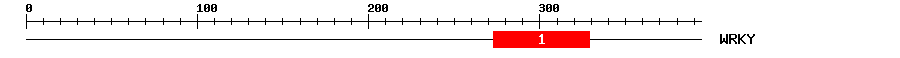 Signature Domain