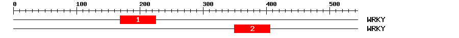 Signature Domain