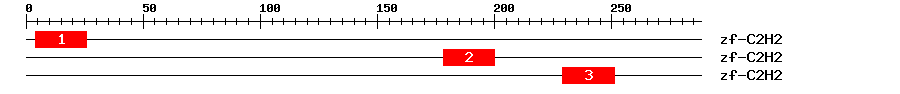 Signature Domain