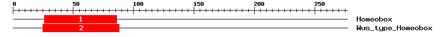 Signature Domain