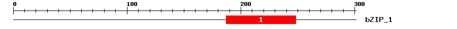 Signature Domain
