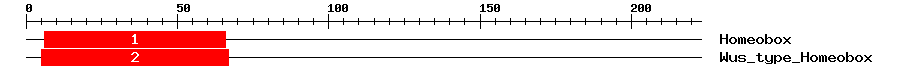 Signature Domain