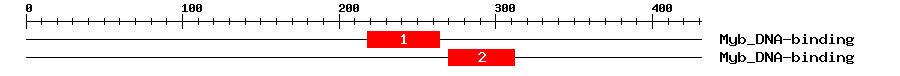 Signature Domain