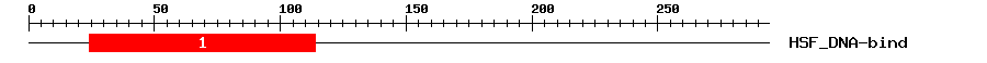 Signature Domain