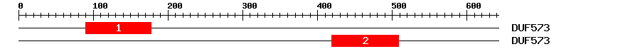 Signature Domain