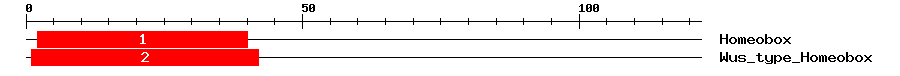 Signature Domain