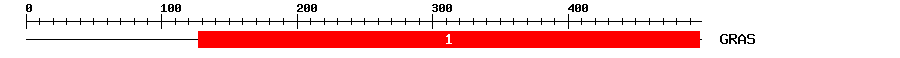 Signature Domain