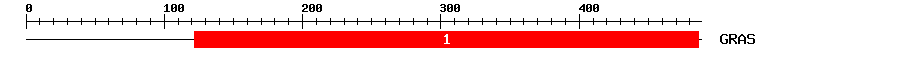 Signature Domain