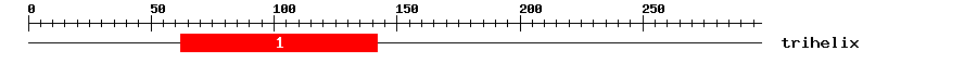 Signature Domain