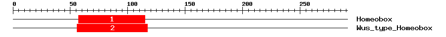 Signature Domain