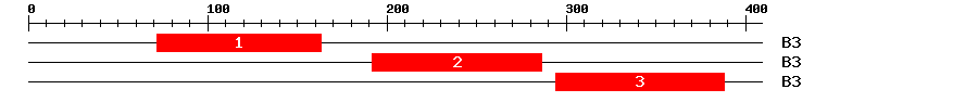 Signature Domain