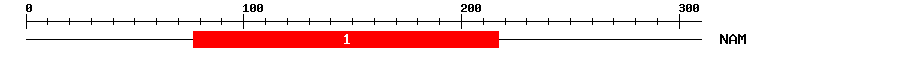 Signature Domain