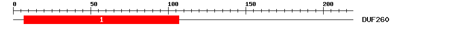 Signature Domain