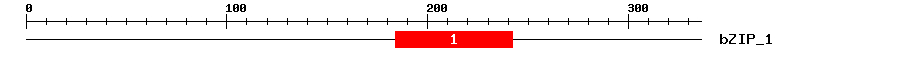Signature Domain