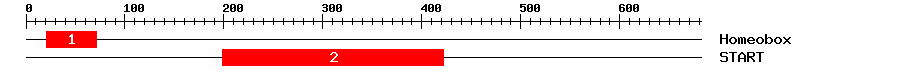 Signature Domain