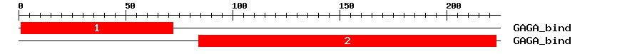 Signature Domain