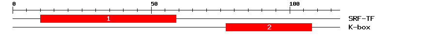 Signature Domain