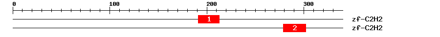 Signature Domain