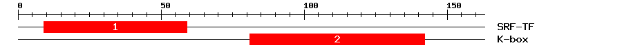 Signature Domain
