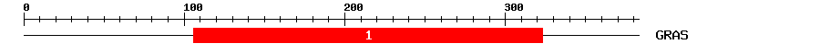 Signature Domain