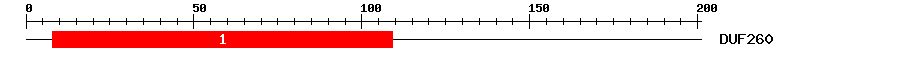 Signature Domain