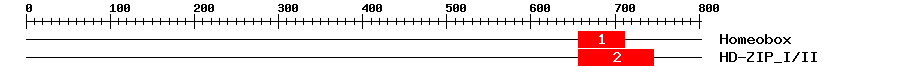 Signature Domain