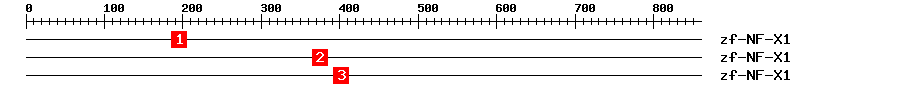 Signature Domain
